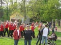 2011.05.01_21.28.58___schill01___maibaum1.jpg