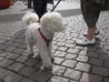 2012.04.29_21.59.48___schill01___IMG_6350.jpg