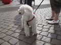2012.04.29_21.59.48___schill01___IMG_6351.jpg